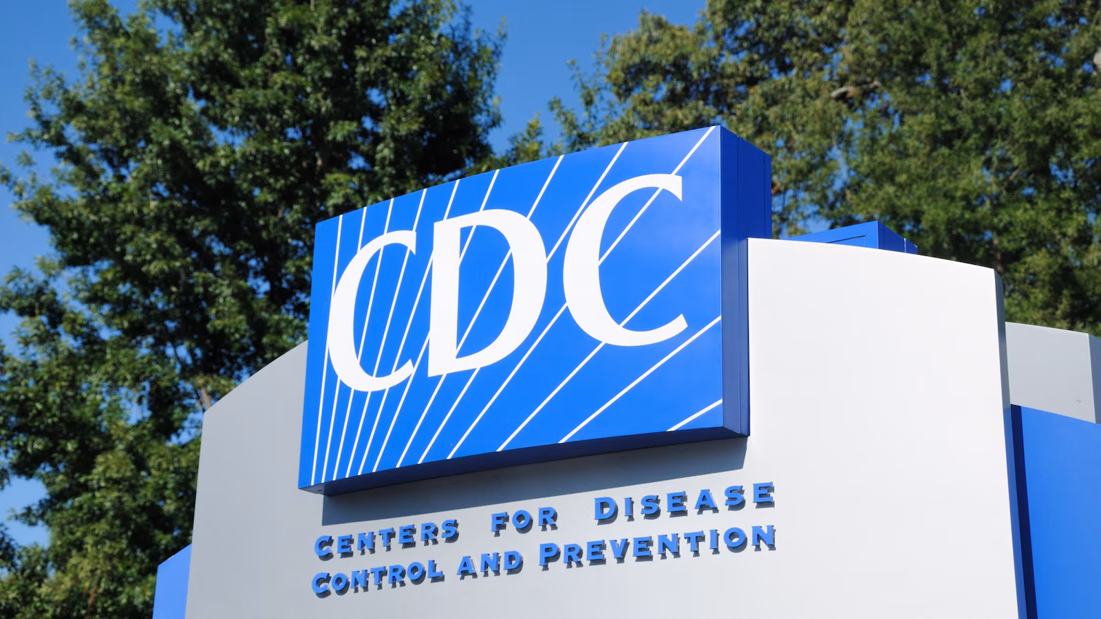 Company recalls alfalfa sprouts after CDC says 55 sickened in salmonella, E. coli outbreak